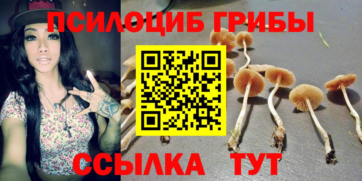 Псилоцибиновые грибы прущие грибы  Вход с VPN  закладки  Каспийск 